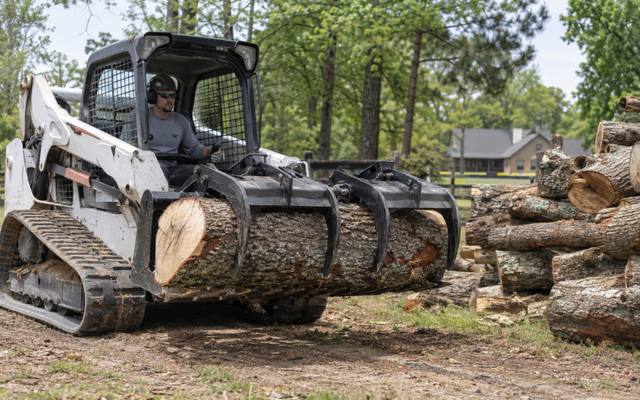 A tree being taken down in sections during a removal